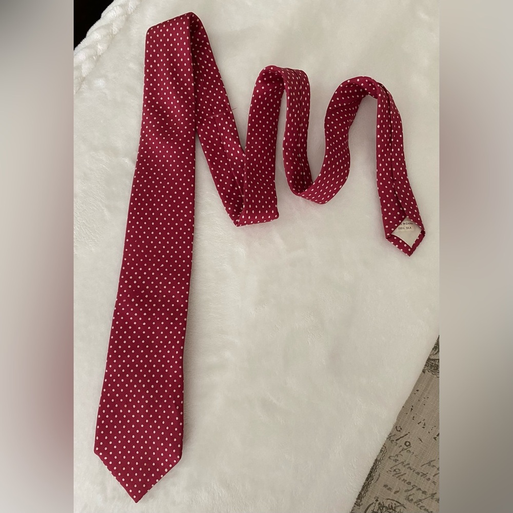 Cocoon Elegant Red Polka Dot Silk Tie
